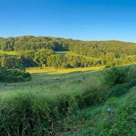 Bauernhof Fuer Naturliebhaber Bucha  Exterior foto