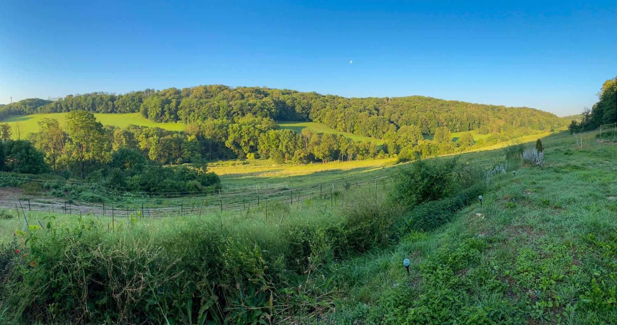 Bauernhof Fuer Naturliebhaber Bucha  Exterior foto
